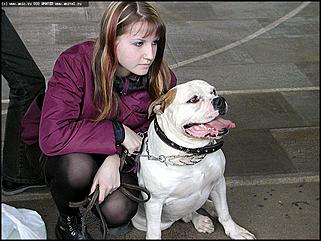    Выставка собак "Азия 2003"