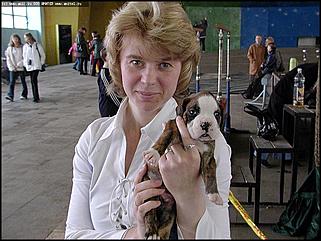    Выставка собак "Азия 2003"