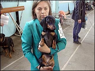    Выставка собак "Азия 2003"