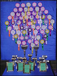    Выставка собак "Азия 2003"