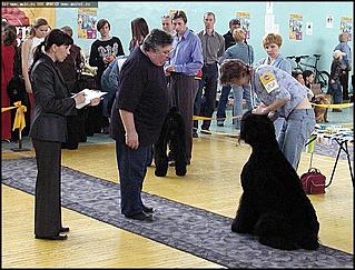    Фоторепортаж