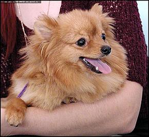    Фоторепортаж