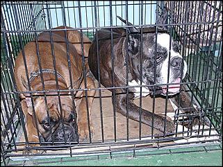    Фоторепортаж