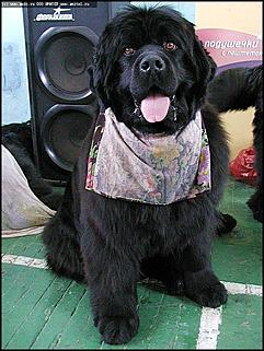    Фоторепортаж