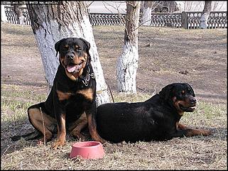    Фоторепортаж