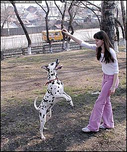    Фоторепортаж