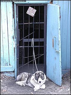    Фоторепортаж