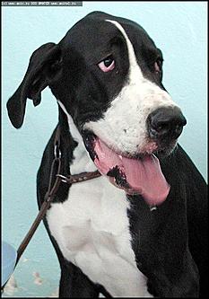    Фоторепортаж