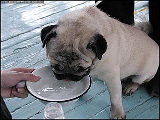    Фоторепортаж