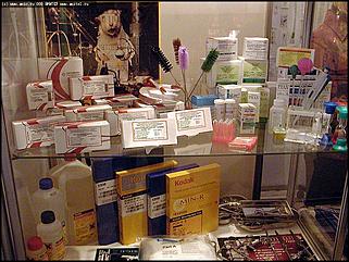    Выставка "Человек. Экология. Здоровье"