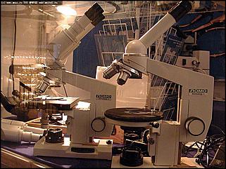    Выставка "Человек. Экология. Здоровье"