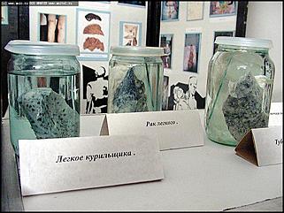    Выставка "Человек. Экология. Здоровье"