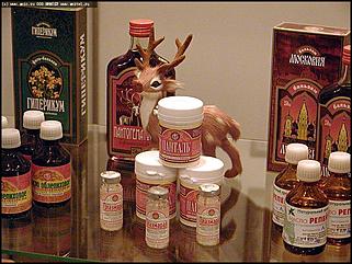    Выставка "Человек. Экология. Здоровье"