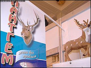    Выставка "Человек. Экология. Здоровье"