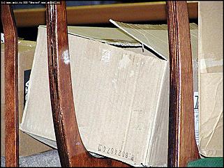    "АлтГУ: выборы в молодежный парламент Барнаула"