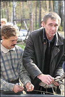    Питомник редких птиц "Алтай-Фалькон"