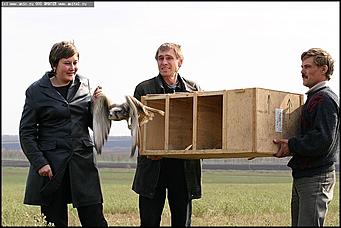    Питомник редких птиц "Алтай-Фалькон"