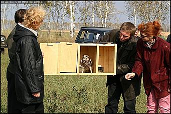    Питомник редких птиц "Алтай-Фалькон"