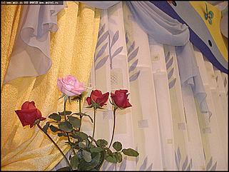    Выставки "Индустрия красоты" и "Индустрия моды"