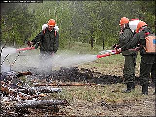    Противопожарные учения в Егорьевском районе