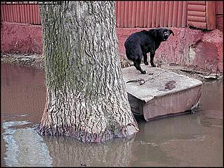    Первое выездное совещание губернатора края Михаила Евдокимова