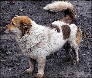    Первое выездное совещание губернатора края Михаила Евдокимова