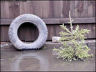   Первое выездное совещание губернатора края Михаила Евдокимова