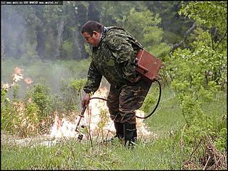    Совещание "О мерах по усилению охраны лесов от пожаров на территории Алтайского края" С. Ларичиха Тальменского района Алтайского края
