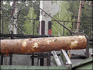    Совещание "О мерах по усилению охраны лесов от пожаров на территории Алтайского края" С. Ларичиха Тальменского района Алтайского края