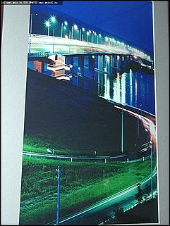    Выставка "Свобода нужна как воздух"