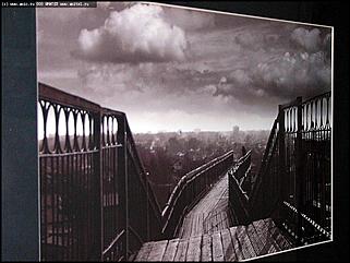    Выставка "Свобода нужна как воздух"