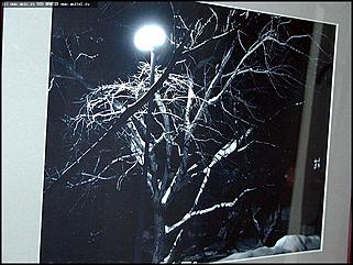    Выставка "Свобода нужна как воздух"