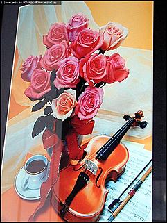    Выставка "Свобода нужна как воздух"