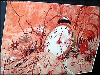    Выставка "Свобода нужна как воздух"