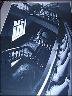    Выставка "Свобода нужна как воздух"