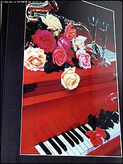    Выставка "Свобода нужна как воздух"