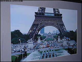    Выставка "Свобода нужна как воздух"