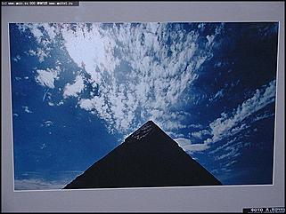    Выставка "Свобода нужна как воздух"