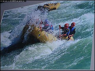    Выставка "Свобода нужна как воздух"