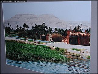    Выставка "Свобода нужна как воздух"