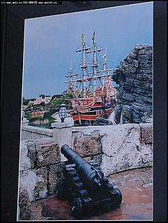    Выставка "Свобода нужна как воздух"