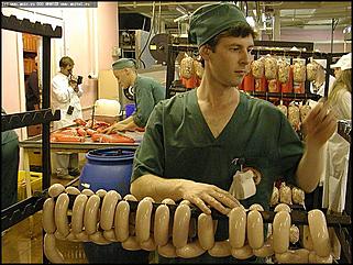    Одарённые дети Алтая