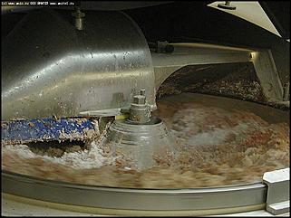    Одарённые дети Алтая