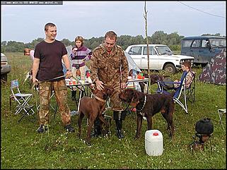    Состязания охотничьих собак