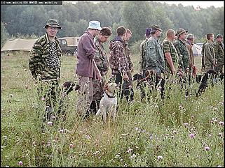    Состязания охотничьих собак