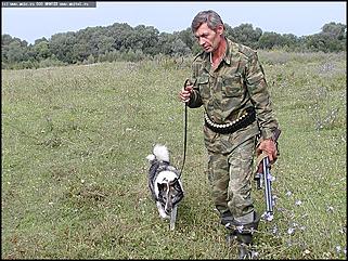    Состязания охотничьих собак