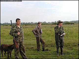    Состязания охотничьих собак