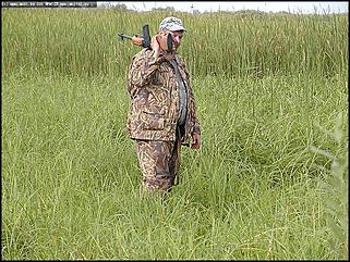    Состязания охотничьих собак