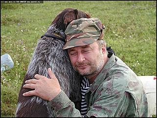    Состязания охотничьих собак