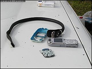    Состязания охотничьих собак